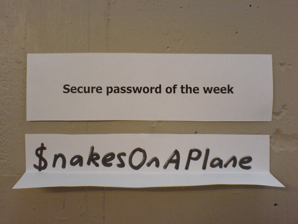 Image showing password $nakesonaplane